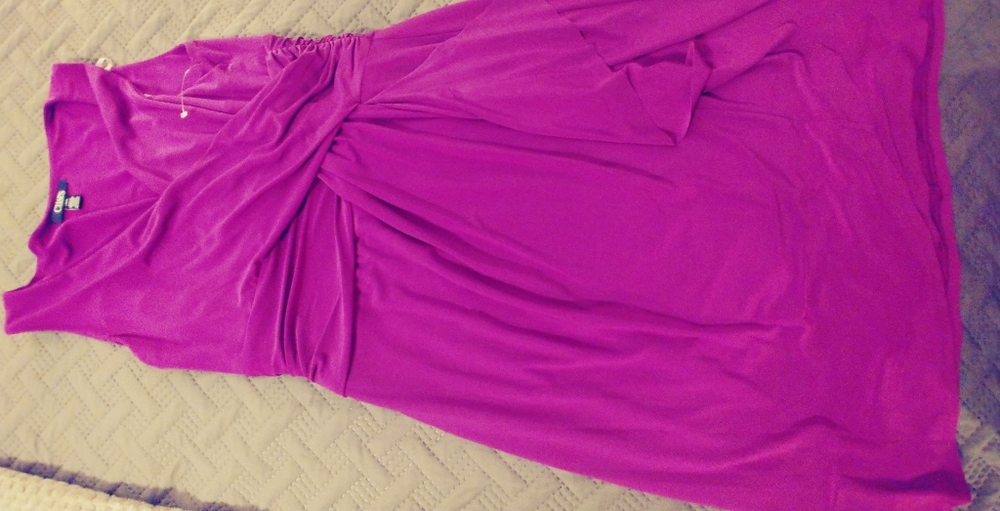 Purple Chaps Dress